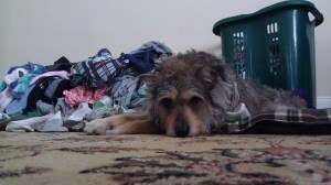 laundry fail